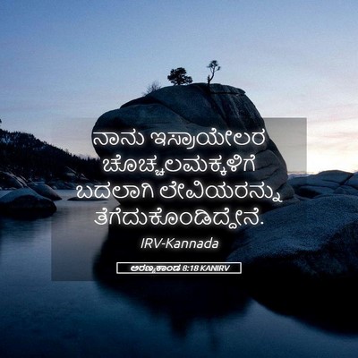 Picture 05 - ಅರಣ್ಯಕಾಂಡ 8:18 KANIRV - ನಾನು ಇಸ್ರಾಯೇಲರ - Bible Verse Picture