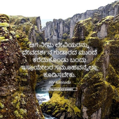 Picture 05 - ಅರಣ್ಯಕಾಂಡ 8:9 KANIRV - ಆಗ ನೀನು - Bible Verse Picture