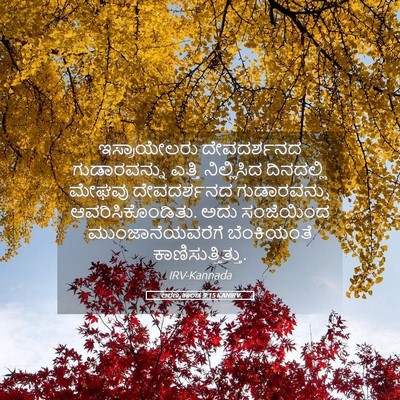 Picture 05 - ಅರಣ್ಯಕಾಂಡ 9:15 KANIRV - ಇಸ್ರಾಯೇಲರು - Bible Verse Picture