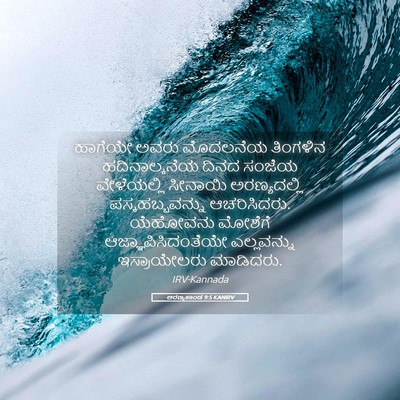 Picture 05 - ಅರಣ್ಯಕಾಂಡ 9:5 KANIRV - ಹಾಗೆಯೇ ಅವರು - Bible Verse Picture