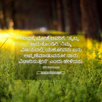Picture 05 - ಅರಣ್ಯಕಾಂಡ 9:8 KANIRV - ಅದಕ್ಕೆ ಮೋಶೆ - Bible Verse Picture