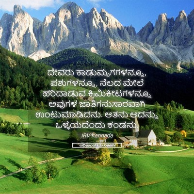 Picture 05 - ಆದಿಕಾಂಡ 1:25 KANIRV - ದೇವರು - Bible Verse Picture