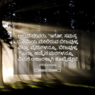 Picture 05 - ಆದಿಕಾಂಡ 1:29 KANIRV - ಅಲ್ಲದೆ ದೇವರು, “ಇಗೋ, - Bible Verse Picture