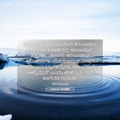Picture 05 - ಆದಿಕಾಂಡ 1:30 KANIRV - ಇದಲ್ಲದೆ ಭೂಮಿಯ - Bible Verse Picture