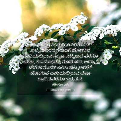 Picture 05 - ಆದಿಕಾಂಡ 10:19 KANIRV - ಕಾನಾನ್ಯರ ಸೀಮೆಯು - Bible Verse Picture