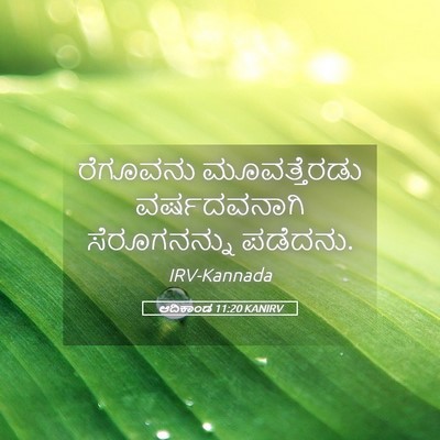 Picture 05 - ಆದಿಕಾಂಡ 11:20 KANIRV - ರೆಗೂವನು - Bible Verse Picture