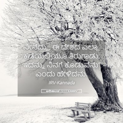 Picture 05 - ಆದಿಕಾಂಡ 13:17 KANIRV - ನೀನೆದ್ದು, ಈ ದೇಶದ - Bible Verse Picture
