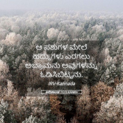 Picture 05 - ಆದಿಕಾಂಡ 15:11 KANIRV - ಆ ಪಶುಗಳ ಮೇಲೆ - Bible Verse Picture