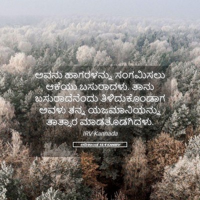 Picture 05 - ಆದಿಕಾಂಡ 16:4 KANIRV - ಅವನು ಹಾಗರಳನ್ನು - Bible Verse Picture