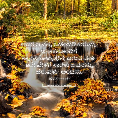 Picture 05 - ಆದಿಕಾಂಡ 17:21 KANIRV - ಆದರೆ ಆ ನನ್ನ - Bible Verse Picture