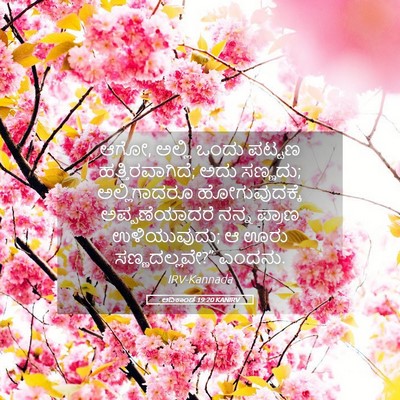Picture 05 - ಆದಿಕಾಂಡ 19:20 KANIRV - ಆಗೋ, ಅಲ್ಲಿ ಒಂದು - Bible Verse Picture