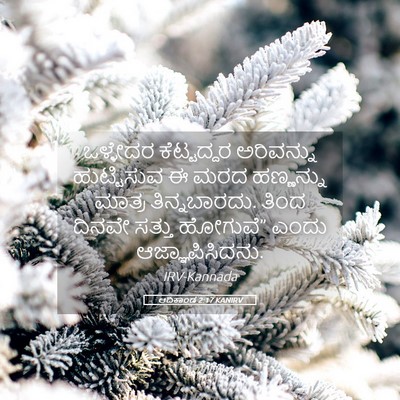 Picture 05 - ಆದಿಕಾಂಡ 2:17 KANIRV - ಒಳ್ಳೇದರ ಕೆಟ್ಟದ್ದರ - Bible Verse Picture