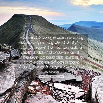 Picture 05 - ಆದಿಕಾಂಡ 2:19 KANIRV - ಯೆಹೋವನು ಎಲ್ಲಾ - Bible Verse Picture