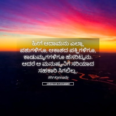 Picture 05 - ಆದಿಕಾಂಡ 2:20 KANIRV - ಹೀಗೆ ಆದಾಮನು ಎಲ್ಲಾ - Bible Verse Picture