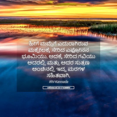 Picture 05 - ಆದಿಕಾಂಡ 23:17 KANIRV - ಹೀಗೆ ಮಮ್ರೆಗೆ - Bible Verse Picture