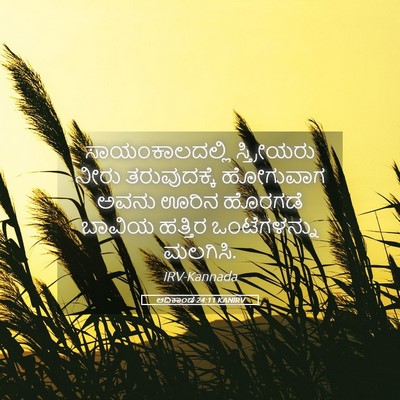 Picture 05 - ಆದಿಕಾಂಡ 24:11 KANIRV - ಸಾಯಂಕಾಲದಲ್ಲಿ - Bible Verse Picture