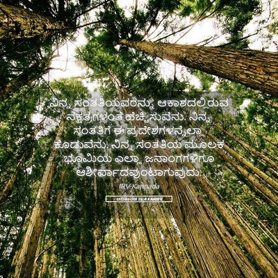 Picture 05 - ಆದಿಕಾಂಡ 26:4 KANIRV - ನಿನ್ನ - Bible Verse Picture