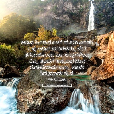 Picture 05 - ಆದಿಕಾಂಡ 27:9 KANIRV - ಆಡಿನ ಹಿಂಡಿನೊಳಗೆ - Bible Verse Picture