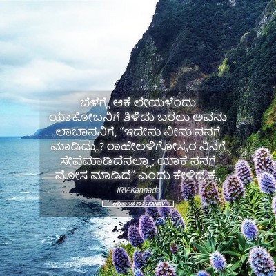 Picture 05 - ಆದಿಕಾಂಡ 29:25 KANIRV - ಬೆಳಗ್ಗೆ ಆಕೆ - Bible Verse Picture