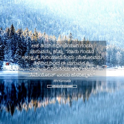 Picture 05 - ಆದಿಕಾಂಡ 29:33 KANIRV - ಆಕೆ ತಿರುಗಿ - Bible Verse Picture