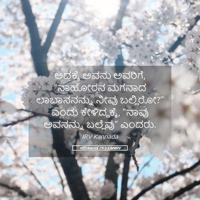 Picture 05 - ಆದಿಕಾಂಡ 29:5 KANIRV - ಅದಕ್ಕೆ ಅವನು - Bible Verse Picture