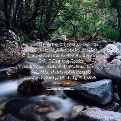 Picture 05 - ಆದಿಕಾಂಡ 3:17 KANIRV - ಅನಂತರ ಆ ಪುರುಷನಿಗೆ, - Bible Verse Picture