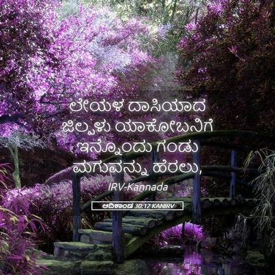 Picture 05 - ಆದಿಕಾಂಡ 30:12 KANIRV - ಲೇಯಳ ದಾಸಿಯಾದ - Bible Verse Picture