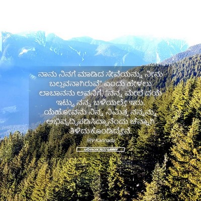 Picture 05 - ಆದಿಕಾಂಡ 30:27 KANIRV - ನಾನು ನಿನಗೆ ಮಾಡಿದ - Bible Verse Picture