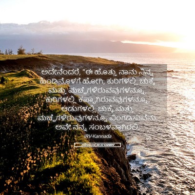 Picture 05 - ಆದಿಕಾಂಡ 30:32 KANIRV - ಅದೇನೆಂದರೆ, “ಈ - Bible Verse Picture