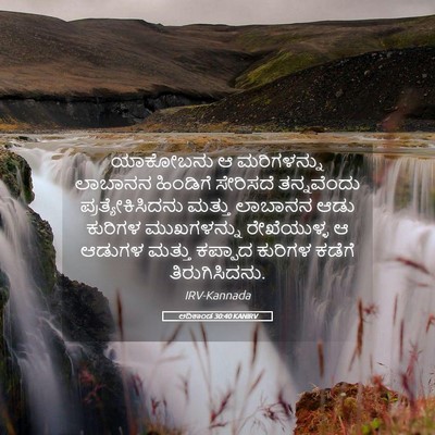 Picture 05 - ಆದಿಕಾಂಡ 30:40 KANIRV - ಯಾಕೋಬನು ಆ - Bible Verse Picture