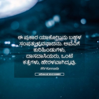 Picture 05 - ಆದಿಕಾಂಡ 30:43 KANIRV - ಈ ಪ್ರಕಾರ ಯಾಕೋಬನು - Bible Verse Picture