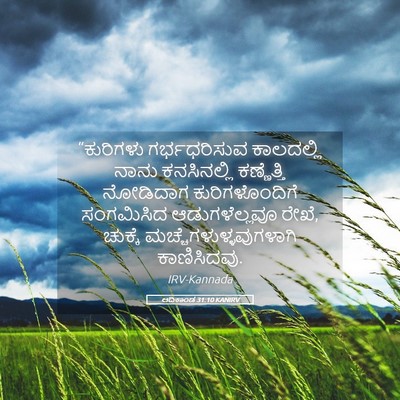 Picture 05 - ಆದಿಕಾಂಡ 31:10 KANIRV - “ಕುರಿಗಳು - Bible Verse Picture