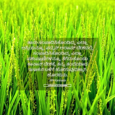 Picture 05 - ಆದಿಕಾಂಡ 31:18 KANIRV - ತಾನು - Bible Verse Picture