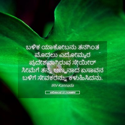 Picture 05 - ಆದಿಕಾಂಡ 32:3 KANIRV - ಬಳಿಕ ಯಾಕೋಬನು - Bible Verse Picture