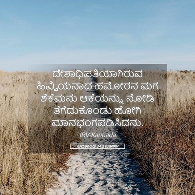 Picture 05 - ಆದಿಕಾಂಡ 34:2 KANIRV - ದೇಶಾಧಿಪತಿಯಾಗಿರುವ - Bible Verse Picture