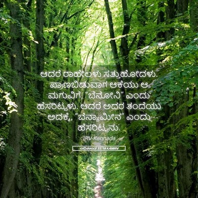Picture 05 - ಆದಿಕಾಂಡ 35:18 KANIRV - ಆದರೆ ರಾಹೇಲಳು - Bible Verse Picture