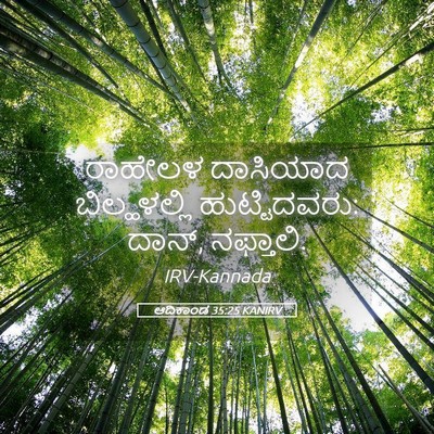 Picture 05 - ಆದಿಕಾಂಡ 35:25 KANIRV - ರಾಹೇಲಳ ದಾಸಿಯಾದ - Bible Verse Picture