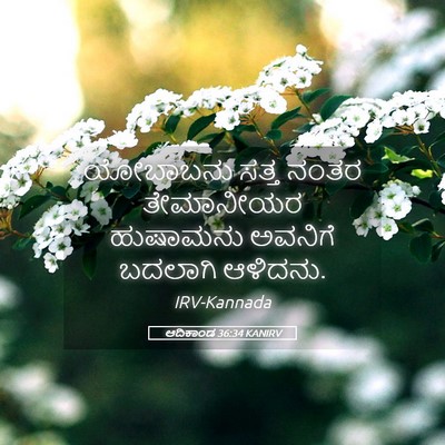 Picture 05 - ಆದಿಕಾಂಡ 36:34 KANIRV - ಯೋಬಾಬನು ಸತ್ತ ನಂತರ - Bible Verse Picture