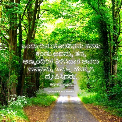 Picture 05 - ಆದಿಕಾಂಡ 37:5 KANIRV - ಒಂದು ದಿನ ಯೋಸೇಫನು - Bible Verse Picture