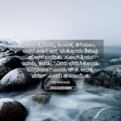 Picture 05 - ಆದಿಕಾಂಡ 38:29 KANIRV - ಅದು ಕೈಯನ್ನು - Bible Verse Picture