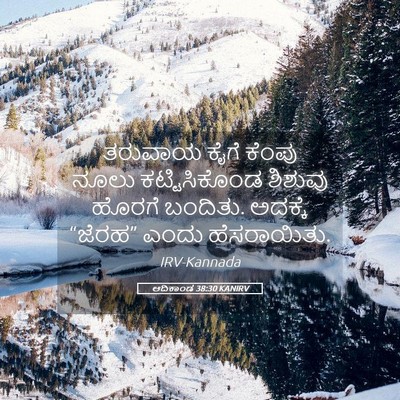 Picture 05 - ಆದಿಕಾಂಡ 38:30 KANIRV - ತರುವಾಯ ಕೈಗೆ ಕೆಂಪು - Bible Verse Picture