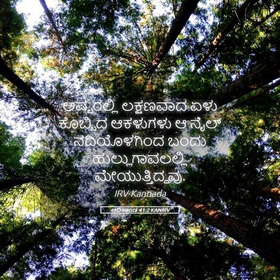 Picture 05 - ಆದಿಕಾಂಡ 41:2 KANIRV - ಅಷ್ಟರಲ್ಲಿ - Bible Verse Picture