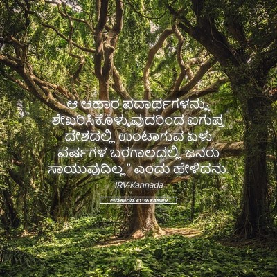 Picture 05 - ಆದಿಕಾಂಡ 41:36 KANIRV - ಆ ಆಹಾರ - Bible Verse Picture