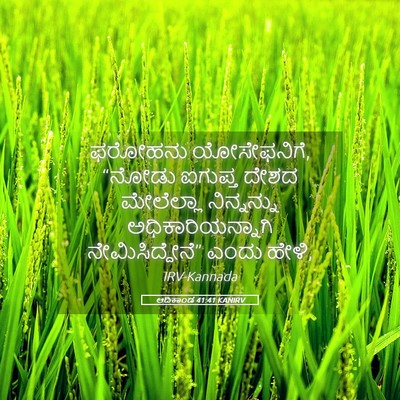 Picture 05 - ಆದಿಕಾಂಡ 41:41 KANIRV - ಫರೋಹನು ಯೋಸೇಫನಿಗೆ, - Bible Verse Picture