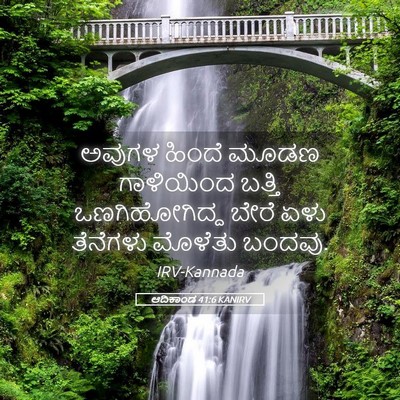 Picture 05 - ಆದಿಕಾಂಡ 41:6 KANIRV - ಅವುಗಳ ಹಿಂದೆ ಮೂಡಣ - Bible Verse Picture