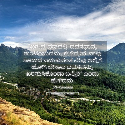 Picture 05 - ಆದಿಕಾಂಡ 42:2 KANIRV - “ಐಗುಪ್ತ ದೇಶದಲ್ಲಿ - Bible Verse Picture