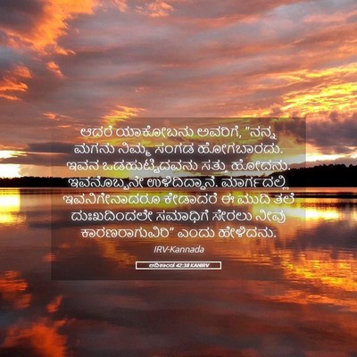 Picture 05 - ಆದಿಕಾಂಡ 42:38 KANIRV - ಆದರೆ ಯಾಕೋಬನು - Bible Verse Picture