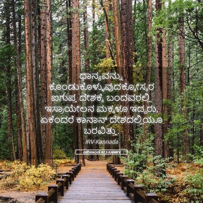 Picture 05 - ಆದಿಕಾಂಡ 42:5 KANIRV - ಧಾನ್ಯವನ್ನು - Bible Verse Picture