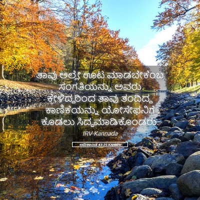 Picture 05 - ಆದಿಕಾಂಡ 43:25 KANIRV - ತಾವು ಅಲ್ಲೇ ಊಟ - Bible Verse Picture