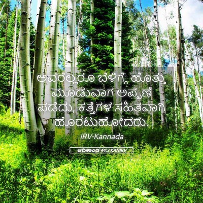 Picture 05 - ಆದಿಕಾಂಡ 44:3 KANIRV - ಅವರೆಲ್ಲರೂ - Bible Verse Picture